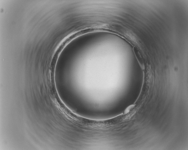 X0000055510932200508262136