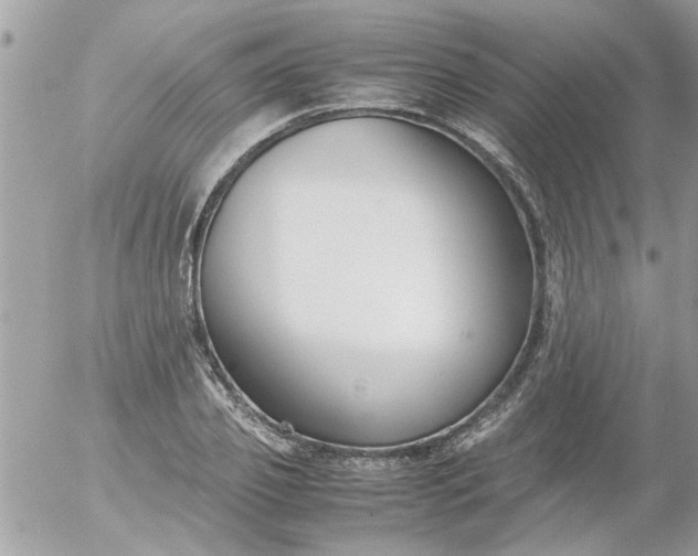 X0000055510933200508262136