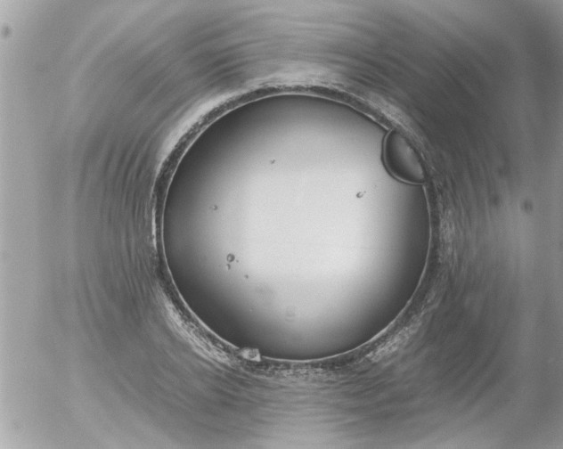 X0000055510934200508262136