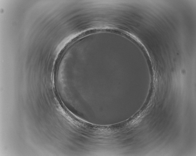 X0000055510935200508262136