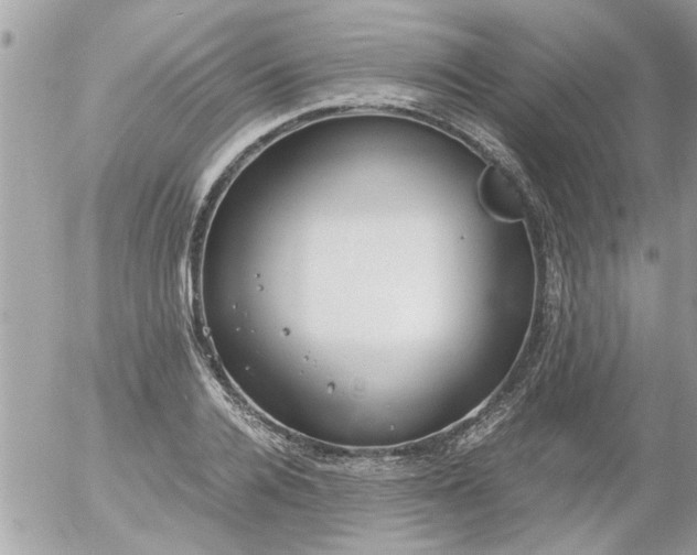 X0000055510936200508262136