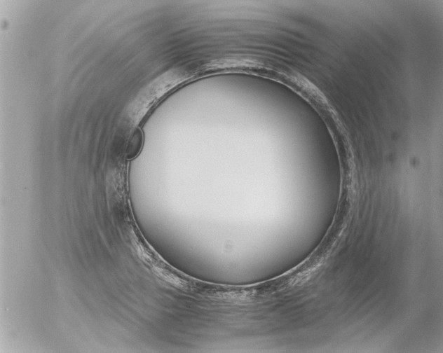 X0000055510937200508262136