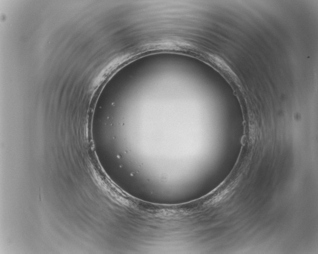 X0000055510938200508262136