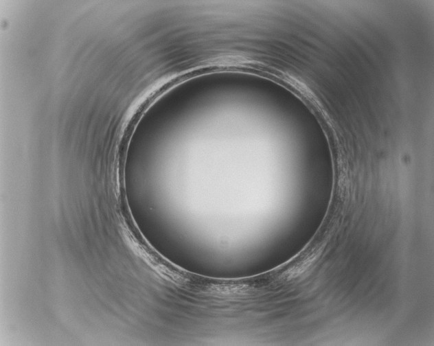 X0000055510939200508262136