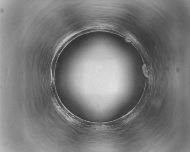 X0000055510940200508262137