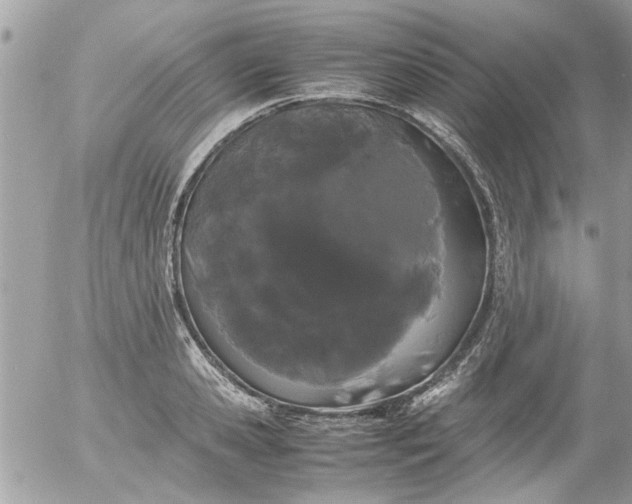 X0000055510941200508262137