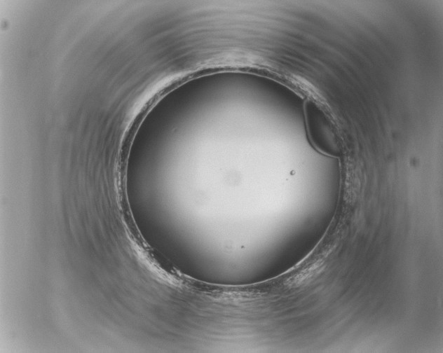 X0000055510942200508262137