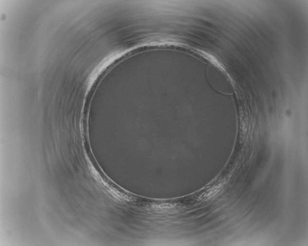 X0000055510943200508262137