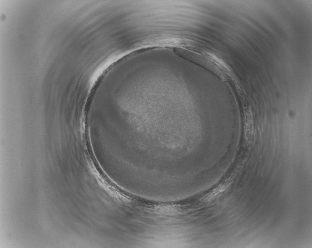 X0000055510944200508262137