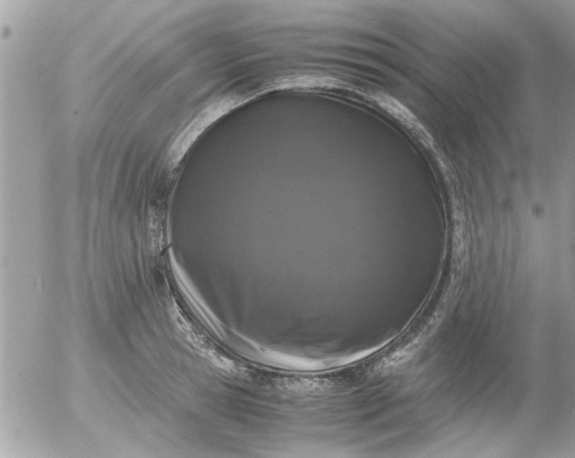 X0000055510945200508262137