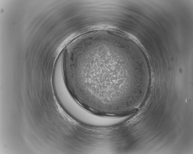 X0000055510946200508262137