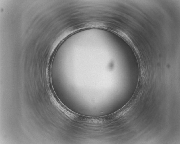 X0000055510947200508262137