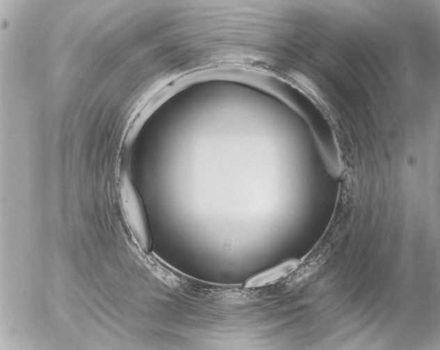 X0000055510948200508262137