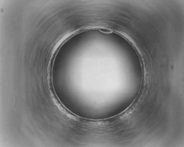 X0000055510949200508262137