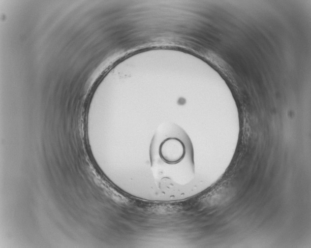 X0000055510950200508262137