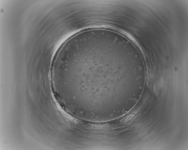 X0000055510951200508262137