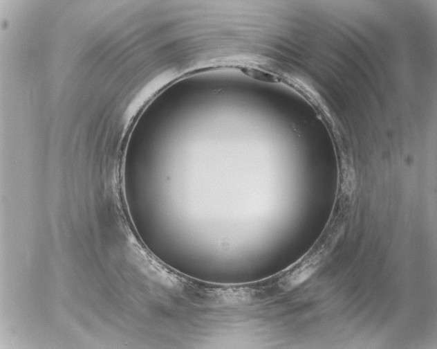 X0000055510952200508262137