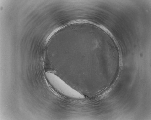 X0000055510953200508262137