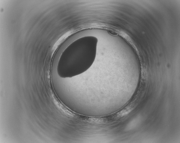 X0000055510954200508262137