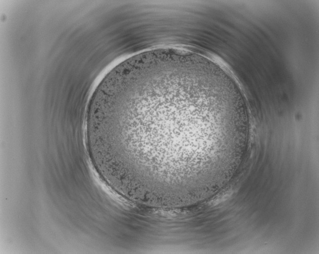 X0000055510955200508262137