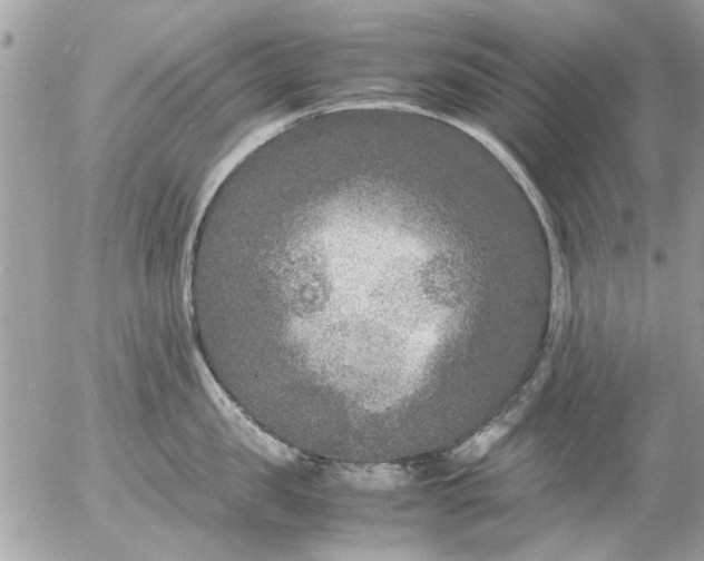 X0000055510957200508262137