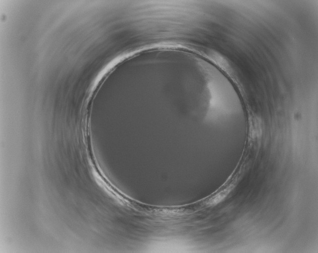 X0000055510958200508262137