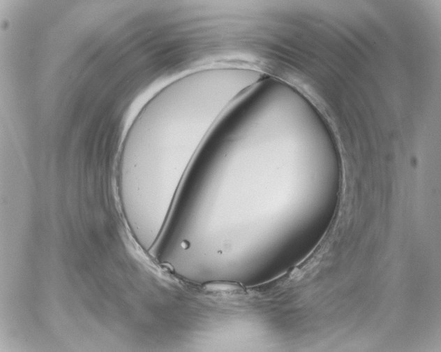 X0000055510960200508262137