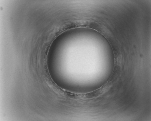 X0000055510961200508262136