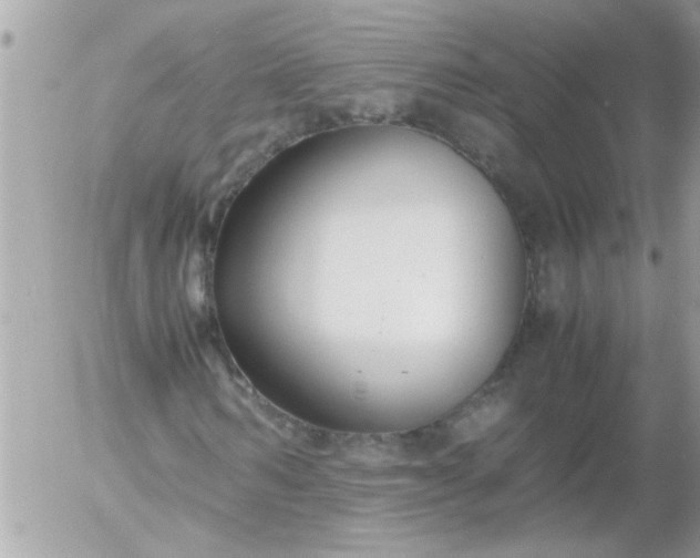 X0000055510962200508262136