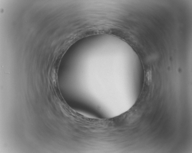 X0000055510963200508262136