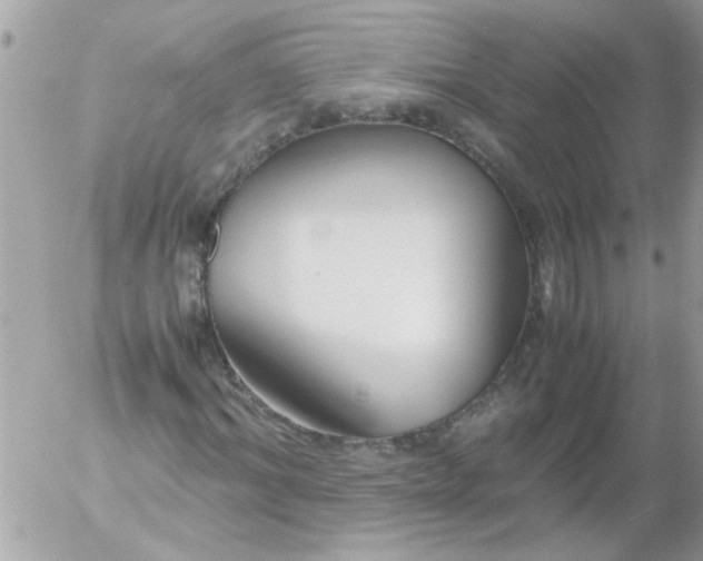 X0000055510964200508262136