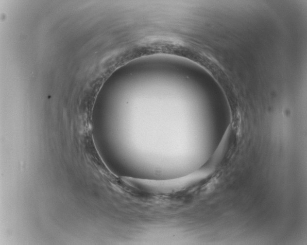 X0000055510965200508262136