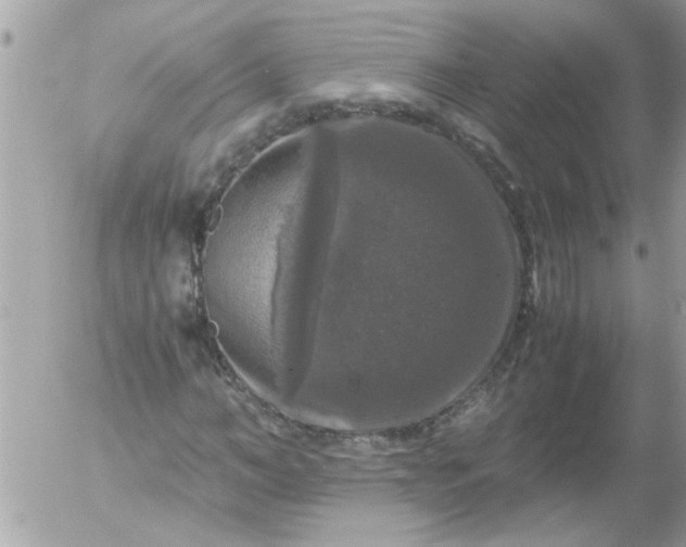 X0000055510966200508262136