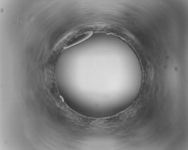 X0000055510967200508262136