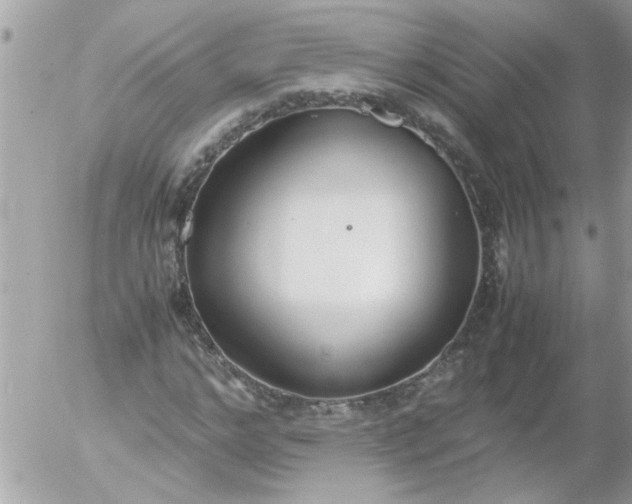 X0000055510968200508262136