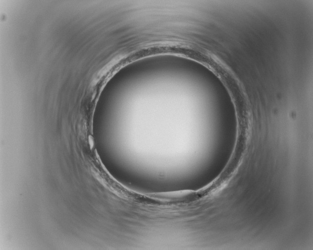 X0000055510969200508262136