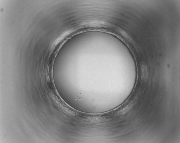 X0000055510970200508262136