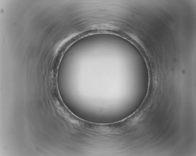 X0000055510971200508262136