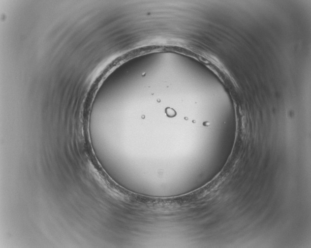 X0000055510972200508262136