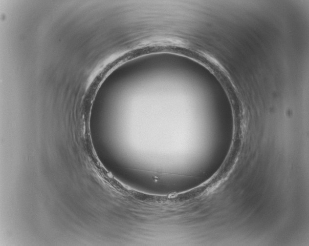 X0000055510973200508262136