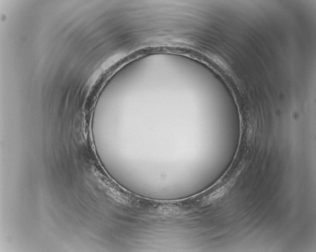 X0000055510974200508262136