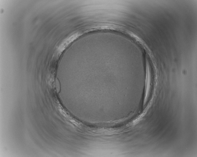 X0000055510977200508262136