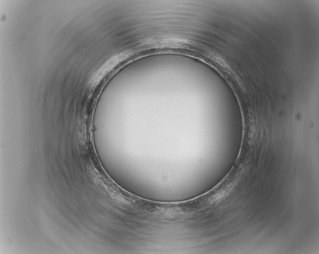 X0000055510978200508262136