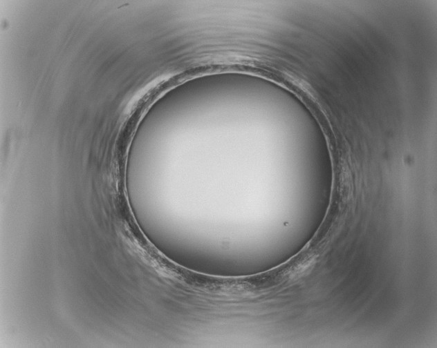 X0000055510979200508262136