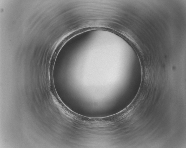 X0000055510980200508262136