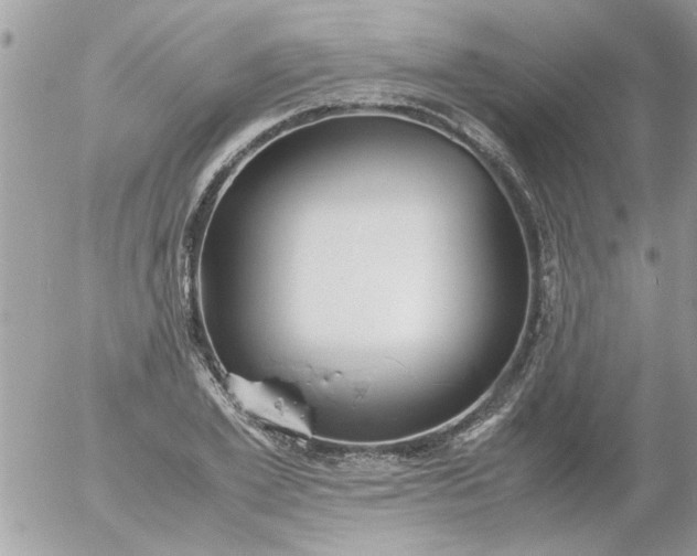 X0000055510981200508262136