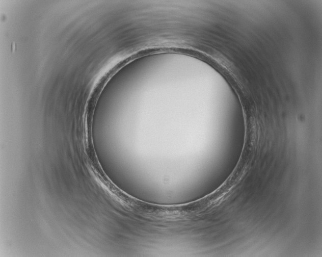 X0000055510982200508262136