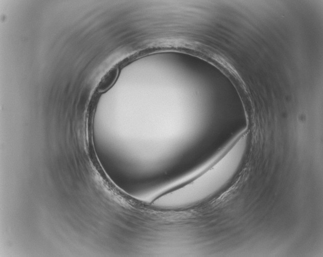 X0000055510984200508262136