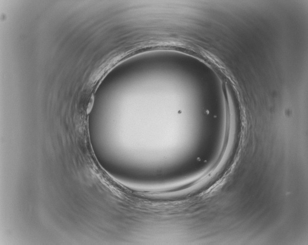 X0000055510985200508262136