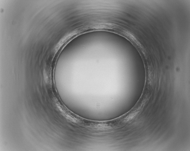 X0000055510986200508262136